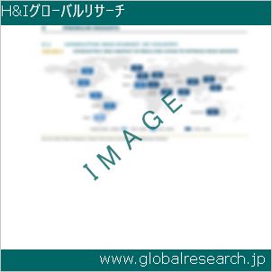 グローバルリサーチ調査レポートのイメージ